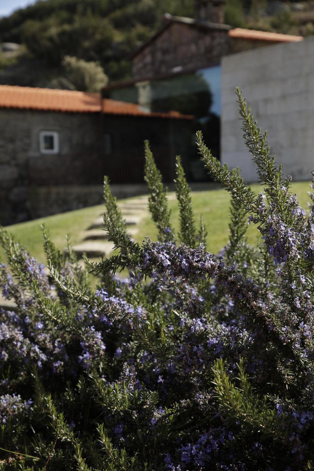 Geres - Leiras Do Tempo - Cottages Brufe Exterior photo